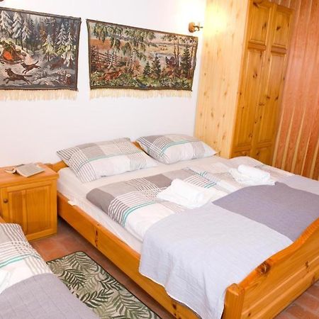 Appartement Planinca -Hisa Z Razgledom à Smarje pri Jelsah Extérieur photo