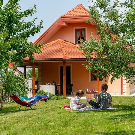 Appartement Planinca -Hisa Z Razgledom à Smarje pri Jelsah Extérieur photo