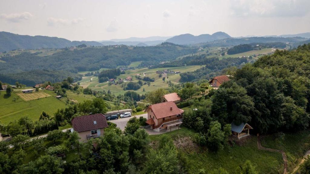 Appartement Planinca -Hisa Z Razgledom à Smarje pri Jelsah Extérieur photo