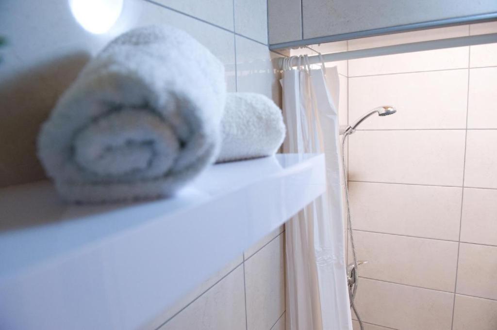 Appartement Planinca -Hisa Z Razgledom à Smarje pri Jelsah Extérieur photo