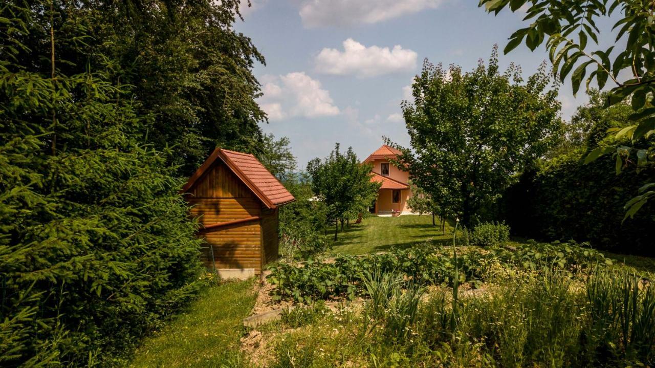 Appartement Planinca -Hisa Z Razgledom à Smarje pri Jelsah Extérieur photo