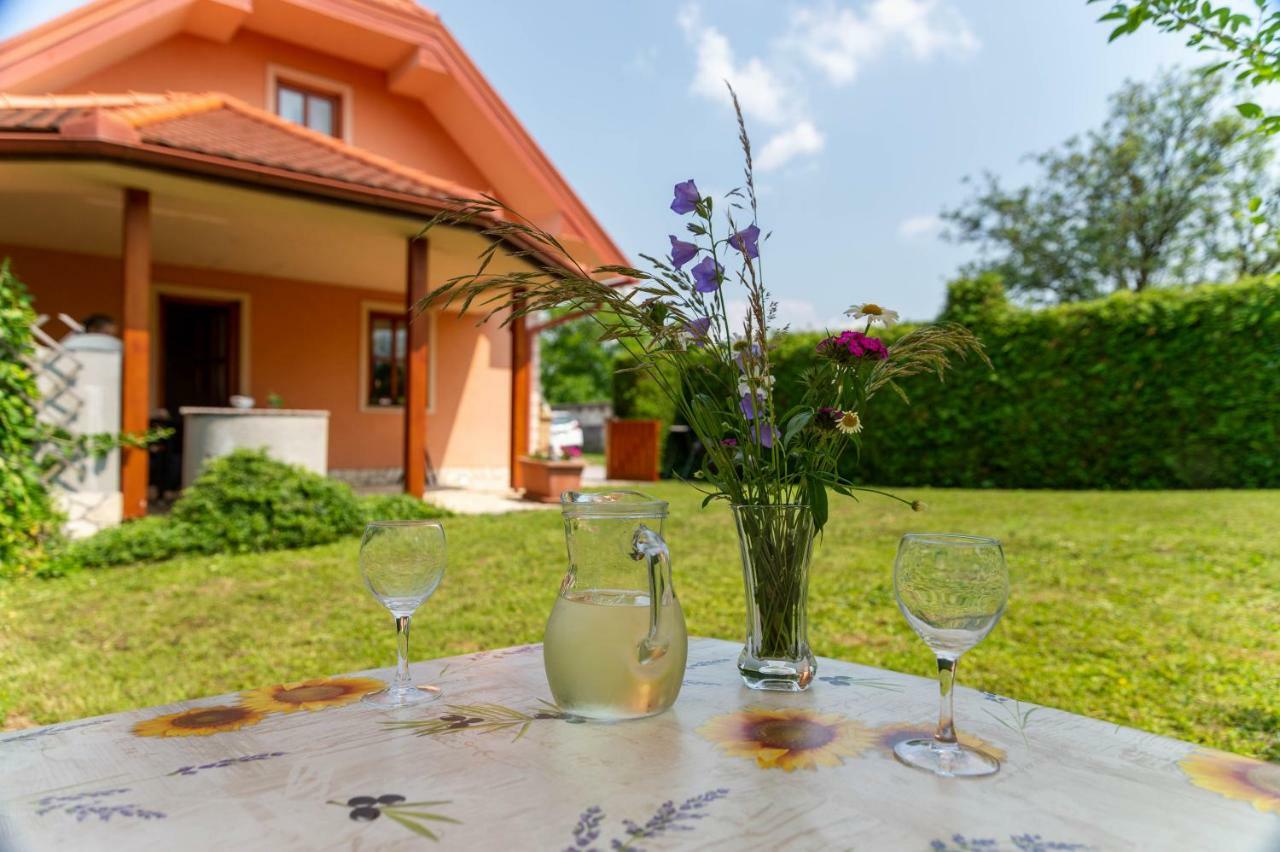 Appartement Planinca -Hisa Z Razgledom à Smarje pri Jelsah Extérieur photo
