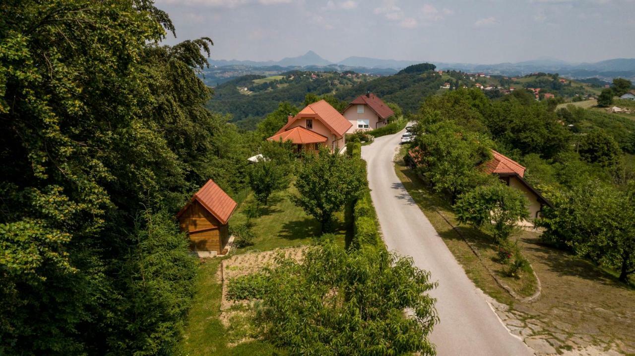 Appartement Planinca -Hisa Z Razgledom à Smarje pri Jelsah Extérieur photo
