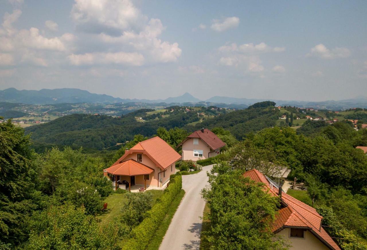 Appartement Planinca -Hisa Z Razgledom à Smarje pri Jelsah Extérieur photo