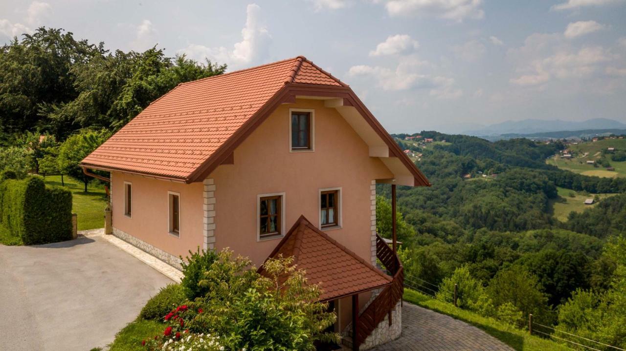 Appartement Planinca -Hisa Z Razgledom à Smarje pri Jelsah Extérieur photo